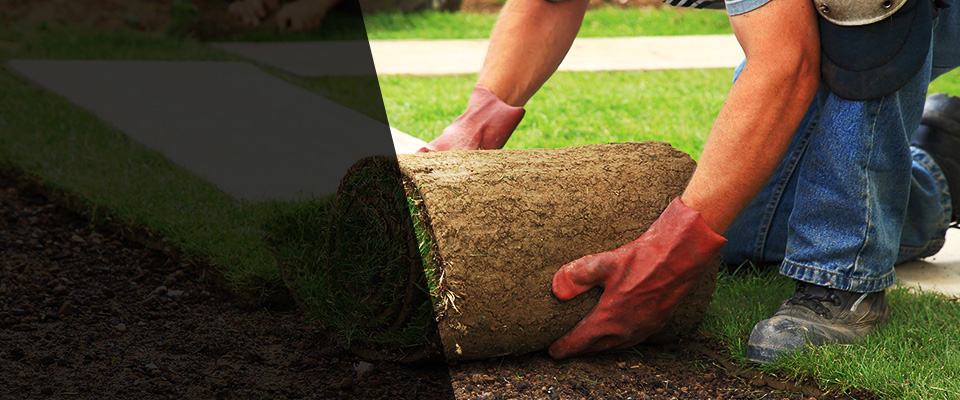 Indiantown Landscapers